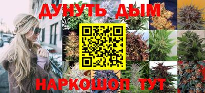 каннабис Бердск