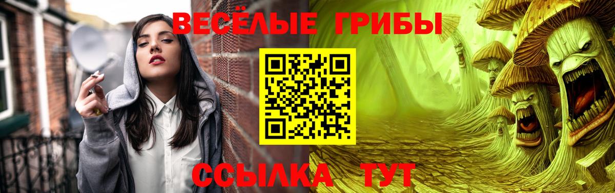 Псилоцибиновые грибы MAGIC MUSHROOMS Майский